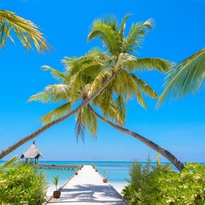 天博tb综合体育官方app下载