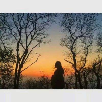 管家婆一码一肖资料大全