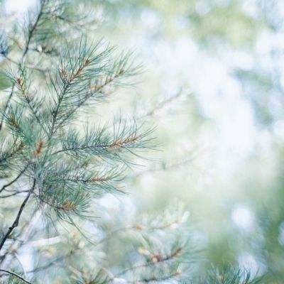 乐发彩票APP下载下载手机版