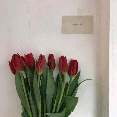 bob体体育app下载