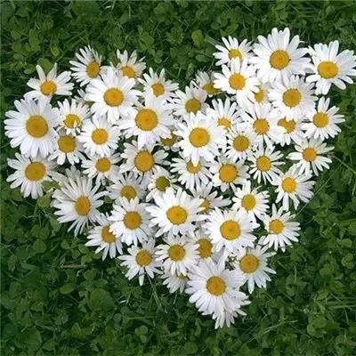 爱游戏app下载手机版