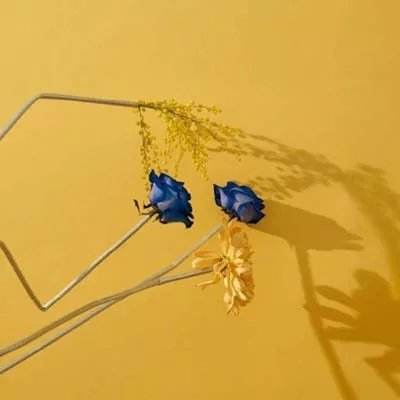 188金宝搏app下载